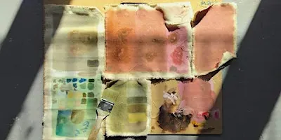 Studio Development Programme