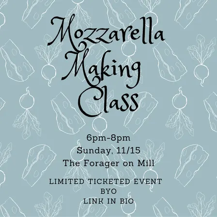 Mozzarella 101