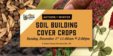 Soil Building & Cover Crops for Autumn & Winter