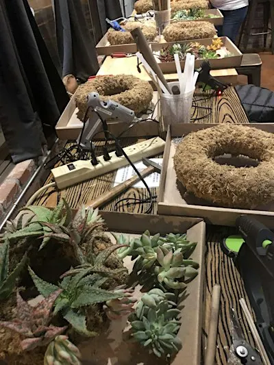 Succulent Wreath Workshop