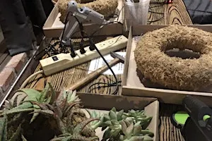 Succulent Wreath Workshop
