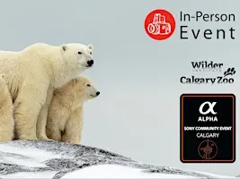 Wild Encounters - Ultimate Hands-On Zoo Photography Experience