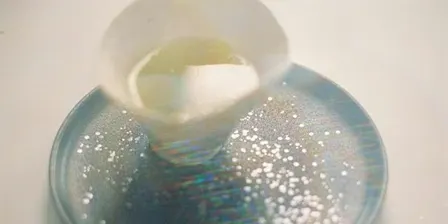 Steep Sessions – Tea x Music