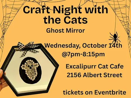 Craft Night with Cats- Ghost Mirrors
