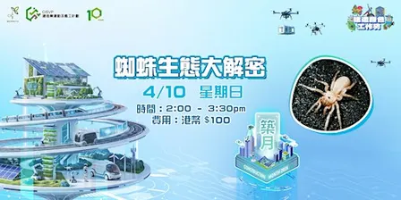 建造綠色工作坊 – 蜘蛛生態大解密 Spider Ecology Unveiled