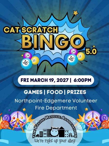 Cat Scratch Bingo 5.0