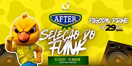 SELEÇÃO DO FUNK - AFTER