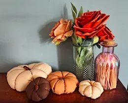 Pumpkin Sewing Workshop