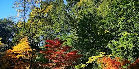 Guided Walk : Queenswood, South Wood and Burghope Quarry