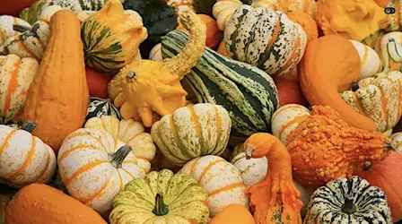 B*TCH & STITCH HALLOWEEN QUIZ SPECIAL | Manchester Wool & Yarn