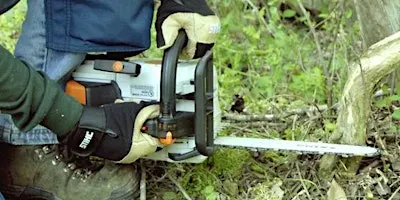 Chainsaw Workshop for Landowners
