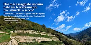 Vigna e cantina aperte: assaggi tra muretti a secco, vicino al Lago d'Iseo