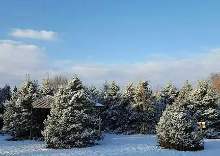 The Holidays at Heartwood: Winter Solstice Nature Journaling