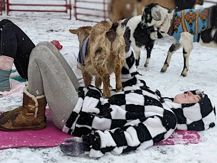 Goat Yoga - 2026