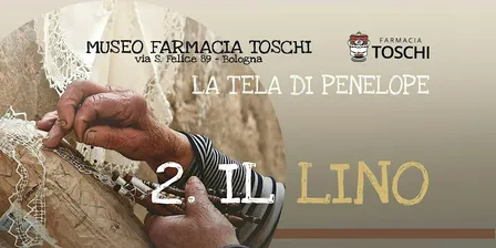 "La tela di Penelope" - 2. Il lino