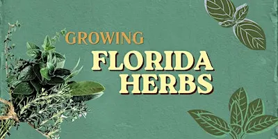 Growing your own Florida Herbs