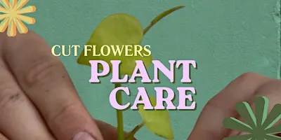 Cut Flowers- Plant Care