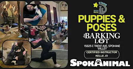 November Puppies & Poses