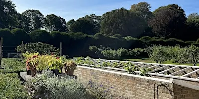 Tuesday Tension Release Yoga at Walmer Castle and Gardens