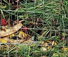 Composting Basics, Kiến Thức Cơ Bản Về Ủ Phân, có dịch tiếng Việt