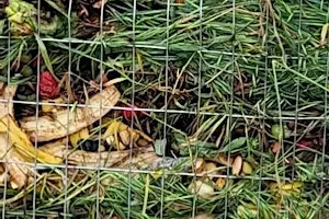 Composting Basics, Kiến Thức Cơ Bản Về Ủ Phân, có dịch tiếng Việt