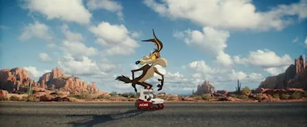 Coyote vs. Acme