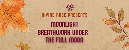 Moonlight Breathwork Under The Full Moon
