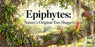 Epiphytes: Nature’s Original Tree Huggers