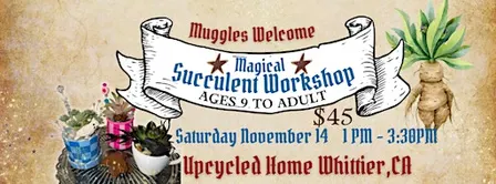 Magical Succulent Workshop