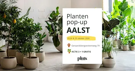 PLANTS MARKET Pop-up AALST