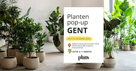 PLANTS MARKET Pop-up GENT