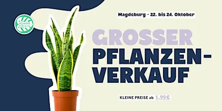 Großer Pflanzenverkauf - Magdeburg