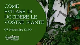COME EVITARE DI UCCIDERE LE VOSTRE PIANTE