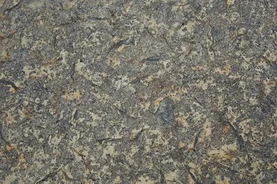 Fossil hunting on the beach
