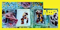 Ice Dye Workshop