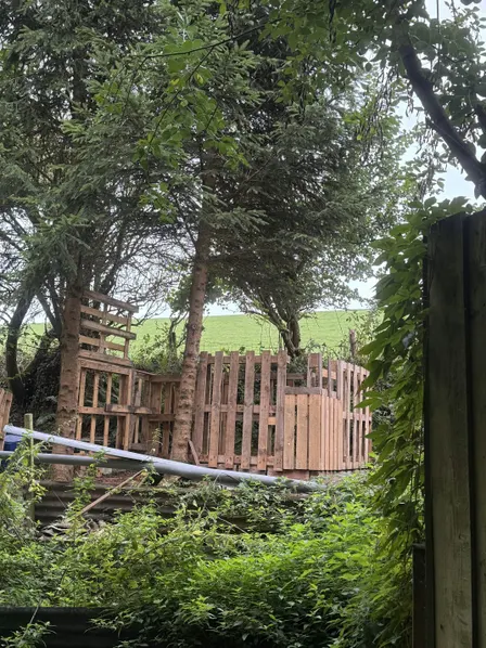 Shed Building at Creativity Acre (and maybe some coppicing!)