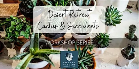 Desert Retreat Cactus & Succulent Workshop Series