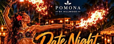 Date Night Firedancer Show