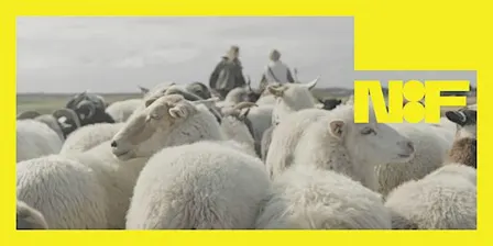 Cinema Talk: Wools Revival