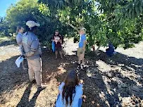 Fruit Tree Paradise Workshop
