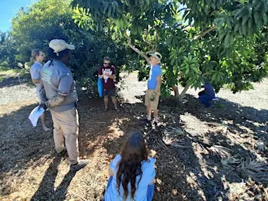 Fruit Tree Paradise Workshop