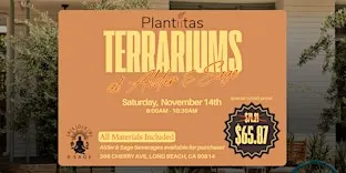 Plantiitas Terrarium Workshop at Alder & Sage