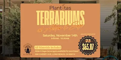 Plantiitas Terrarium Workshop at Alder & Sage