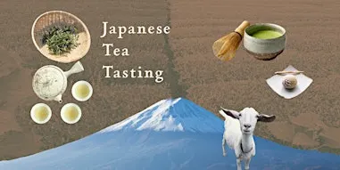 Japanese Tea Tasting