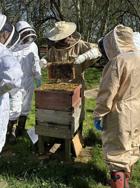 Is Beekeeping for me?