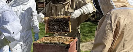 Is Beekeeping for me?