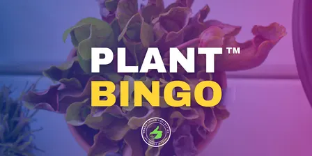 Plant Bingo™ Conroe