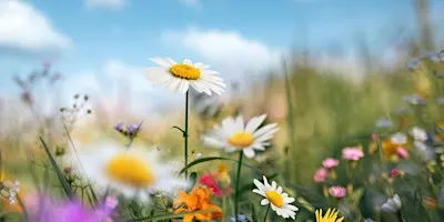 Co-Creating Our Future Together - A Journey of Transformation