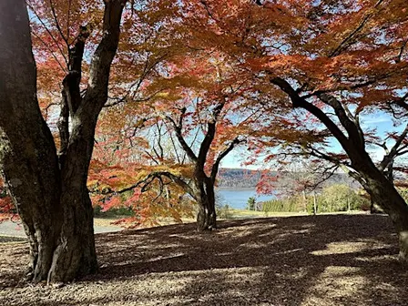 Fall Color Tour - November 11
