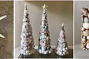 Seashell Decor Workshop